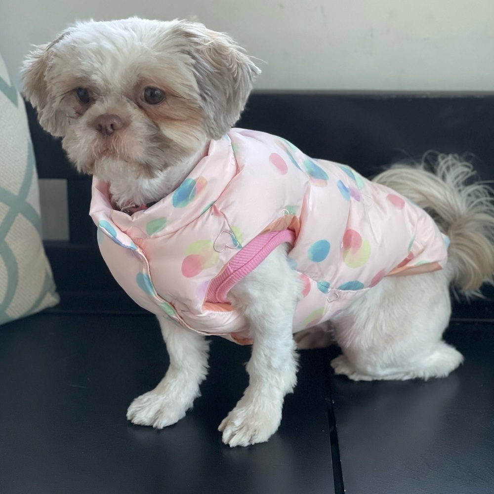 NWT- Heart Embroidered Pet Coat Size XL - Picture 3 of 11